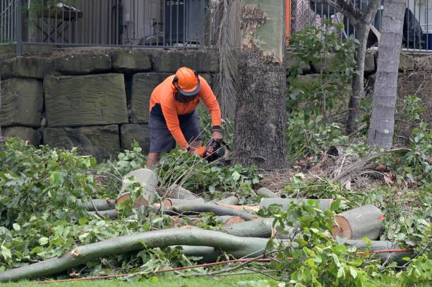 Tree Service Company in Richland, PA